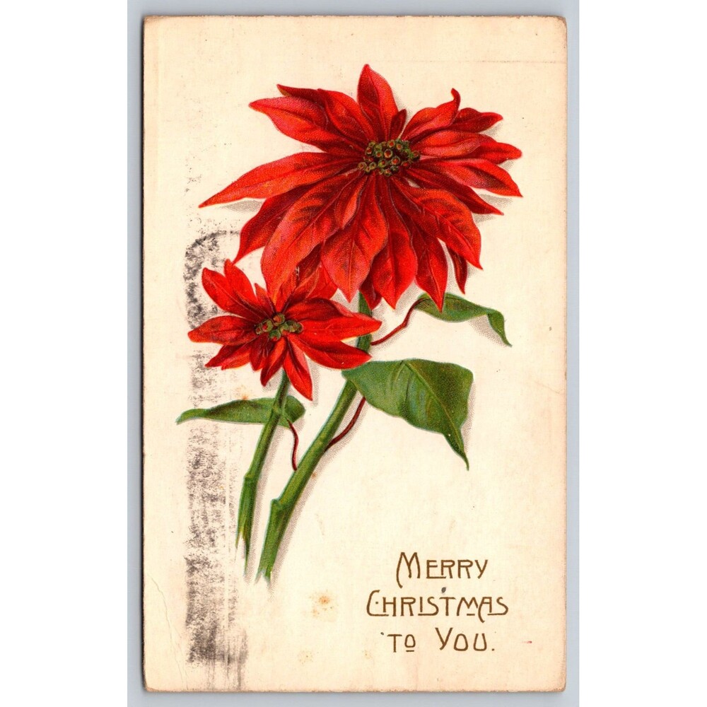 Antique Postcard Merry Christmas Poinsettia Embossed Posted 1911 Maryland Stamp